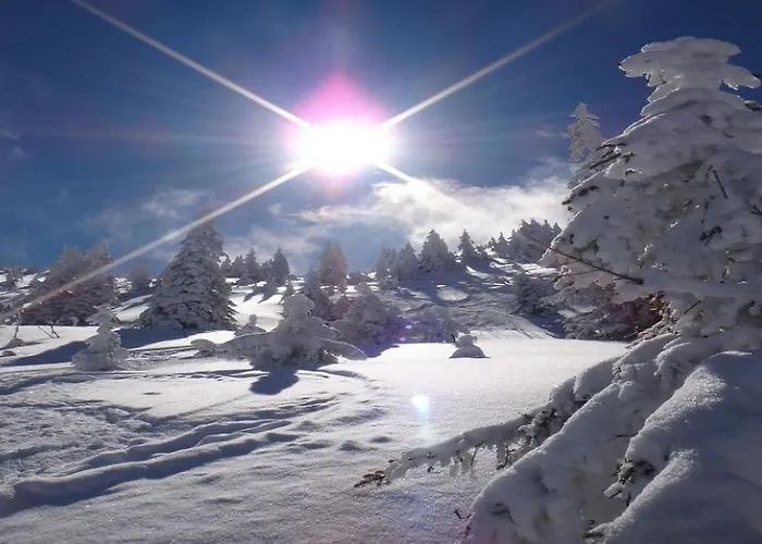 Ski-in, Ski-out By Managers Lejlighed