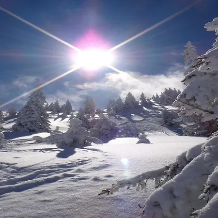 Ski-in, Ski-out By Managers شقة